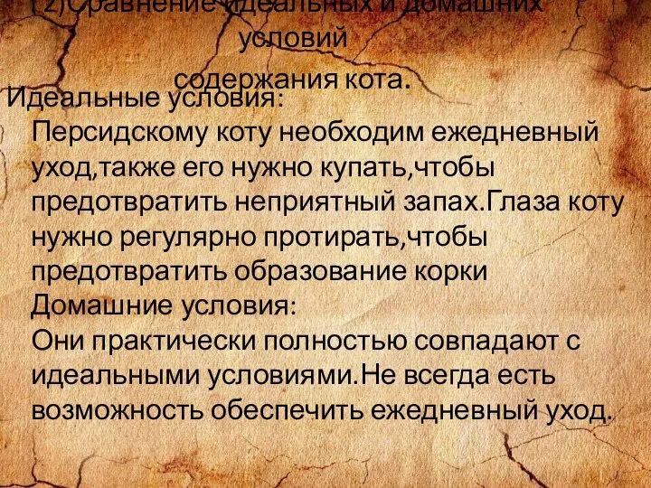 2)Сравнение идеальных и домашних условий содержания кота. Идеальные условия: Персидскому коту необходим