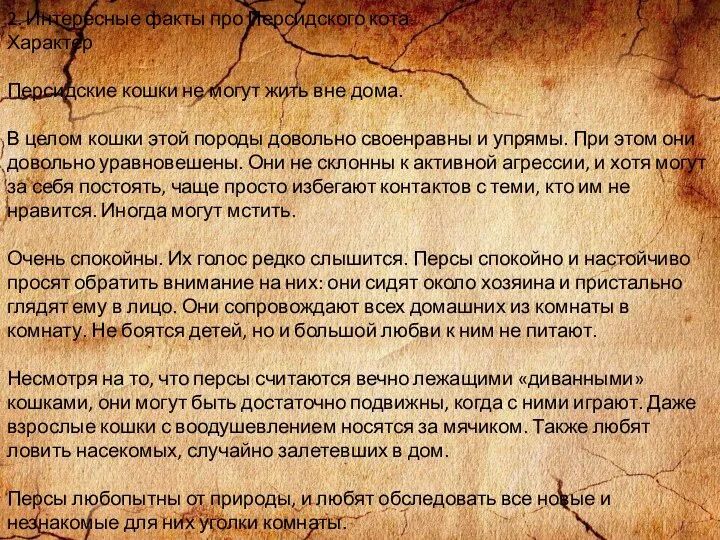 2. Интересные факты про Персидского кота. Характер Персидские кошки не могут жить