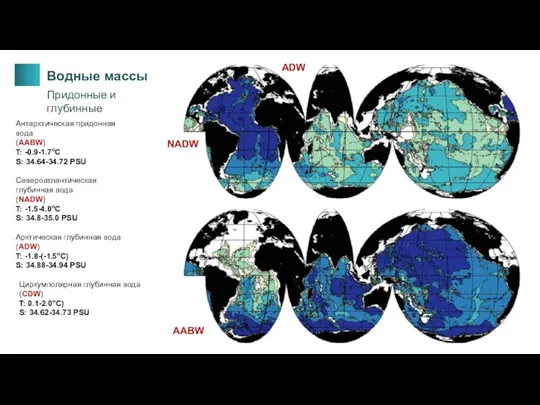 Водные массы Придонные и глубинные Антарктическая придонная вода (AABW) T: -0.9-1.7oC S: