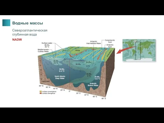 Водные массы Североатлантическая глубинная вода NADW