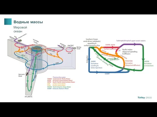 Водные массы Talley (2013) Мировой океан
