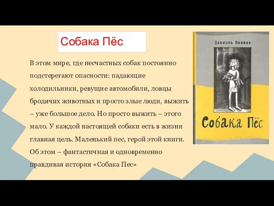 В этом мире, где несчастных собак постоянно подстерегают опасности: падающие холодильники, ревущие