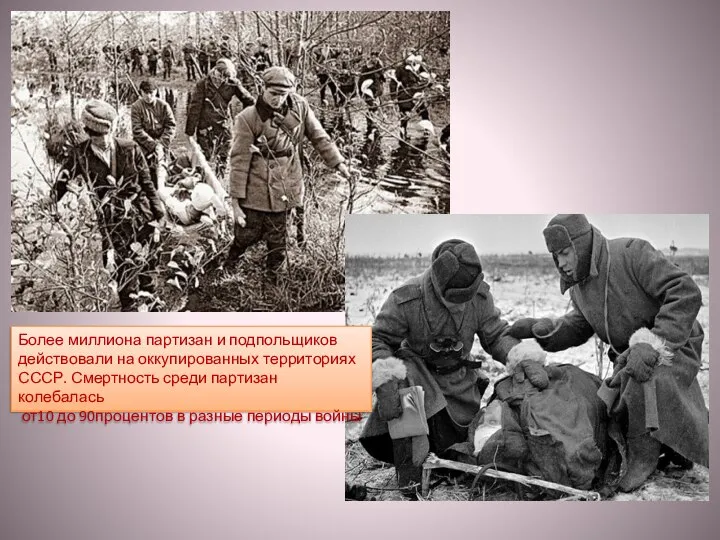 Более миллиона партизан и подпольщиков действовали на оккупированных территориях СССР. Смертность среди