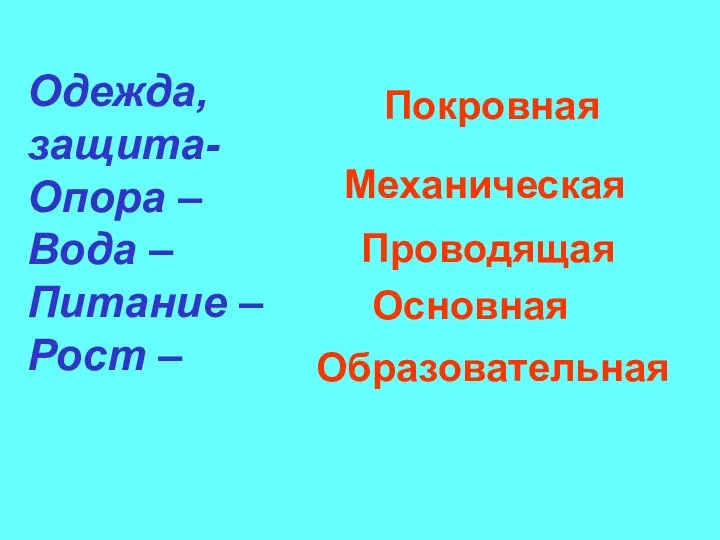 Одежда, защита- Опора – Вода – Питание – Рост – Покровная Механическая Проводящая Основная Образовательная