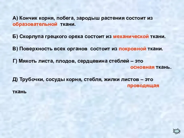 А) Кончик корня, побега, зародыш растения состоит из образовательной ткани. Б) Скорлупа