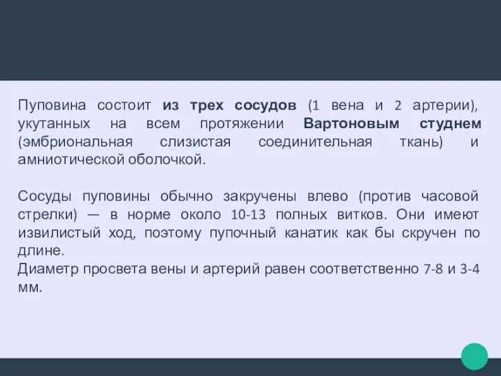 Пуповина состоит из трех сосудов (1 вена и 2 артерии), укутанных на