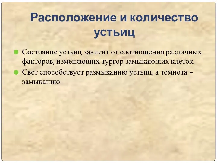 Расположение и количество устьиц Состояние устьиц зависит от соотношения различных факторов, изменяющих