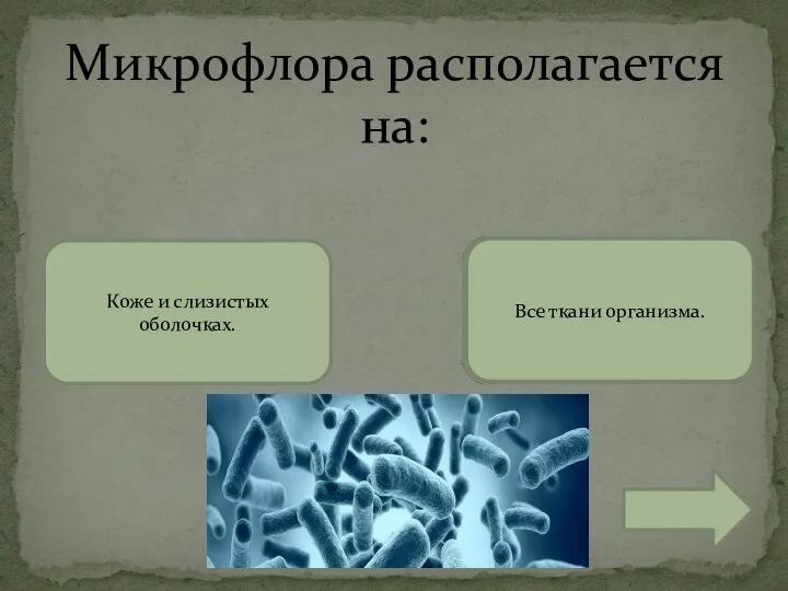 Микрофлора располагается на: Все ткани организма. Коже и слизистых оболочках.