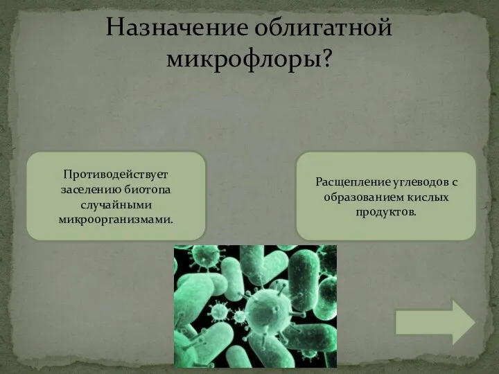 Назначение облигатной микрофлоры? Противодействует заселению биотопа случайными микроорганизмами. Расщепление углеводов с образованием кислых продуктов.