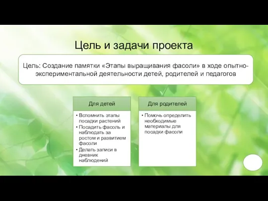 Цель и задачи проекта Цель: Создание памятки «Этапы выращивания фасоли» в ходе