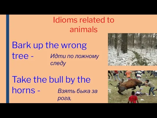 Idioms related to animals Bark up the wrong tree - Идти по