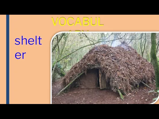 VOCABULARY shelter