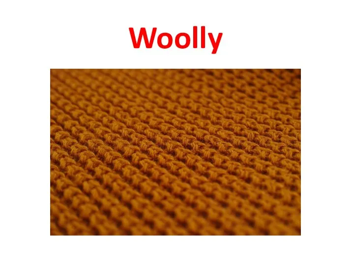 Woolly