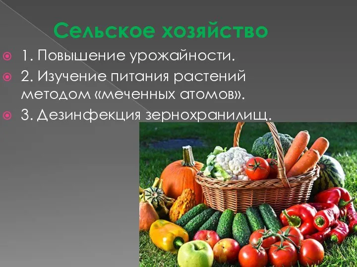 Сельское хозяйство 1. Повышение урожайности. 2. Изучение питания растений методом «меченных атомов». 3. Дезинфекция зернохранилищ.