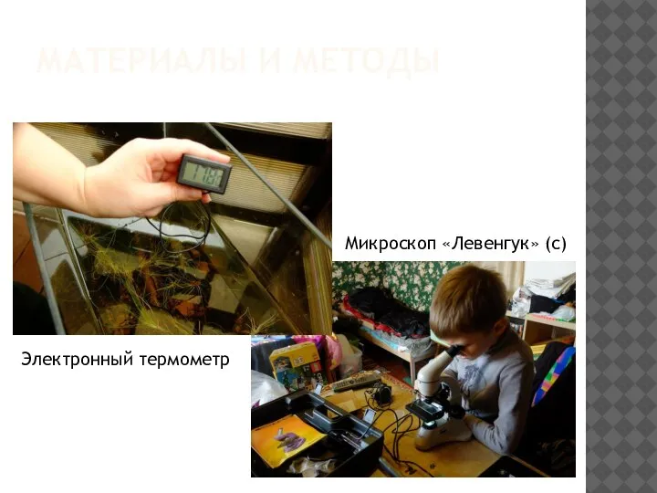 МАТЕРИАЛЫ И МЕТОДЫ Микроскоп «Левенгук» (с) Электронный термометр