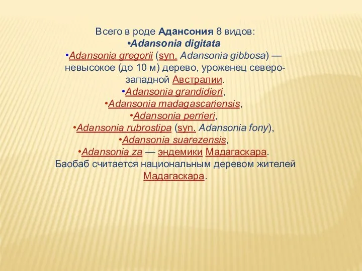 Всего в роде Адансония 8 видов: Adansonia digitata Adansonia gregorii (syn. Adansonia