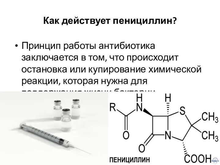 Как действует пенициллин? Принцип работы антибиотика заключается в том, что происходит остановка