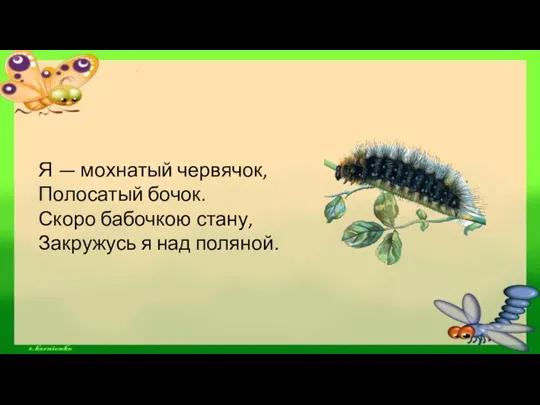 Я — мохнатый червячок, Полосатый бочок. Скоро бабочкою стану, Закружусь я над поляной.