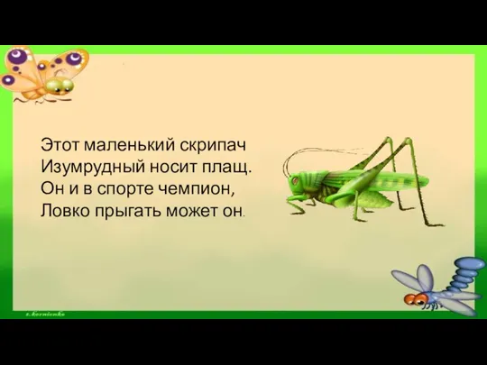 Этот маленький скрипач Изумрудный носит плащ. Он и в спорте чемпион, Ловко прыгать может он.