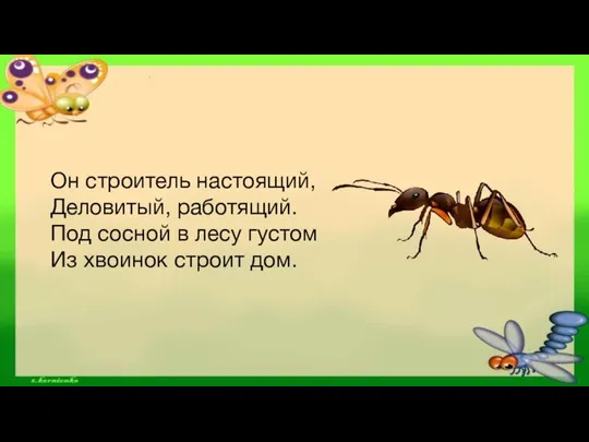 Он строитель настоящий, Деловитый, работящий. Под сосной в лесу густом Из хвоинок строит дом.