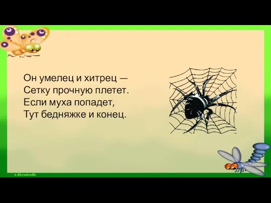 Он умелец и хитрец — Сетку прочную плетет. Если муха попадет, Тут бедняжке и конец.