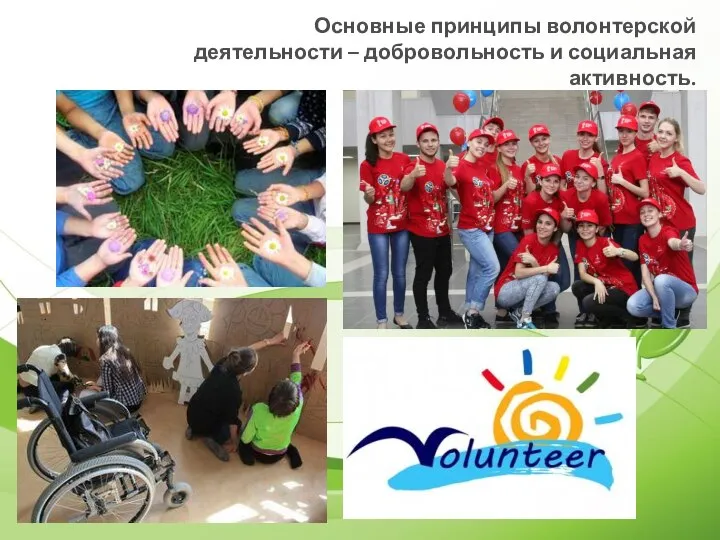 Основные принципы волонтерской деятельности – добровольность и социальная активность.