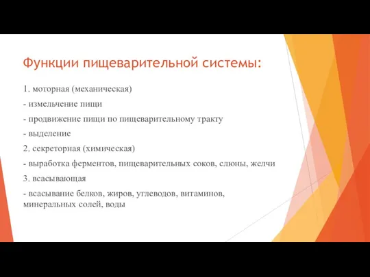 Функции пищеварительной системы: 1. моторная (механическая) - измельчение пищи - продвижение пищи