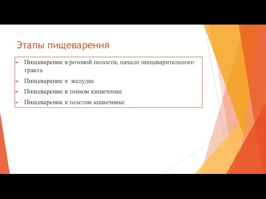 Этапы пищеварения Пищеварение в ротовой полости, начало пищеварительного тракта Пищеварение в желудке