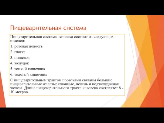 Пищеварительная система Пищеварительная система человека состоит из следующих отделов: 1. ротовая полость