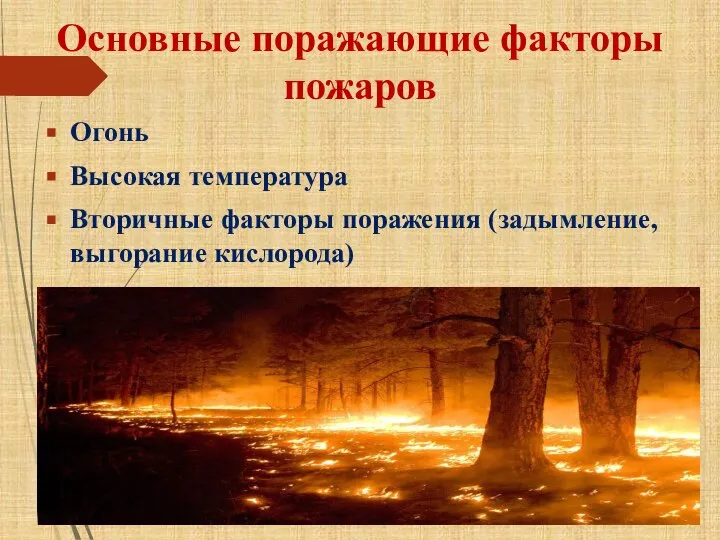 Основные поражающие факторы пожаров Огонь Высокая температура Вторичные факторы поражения (задымление, выгорание кислорода)