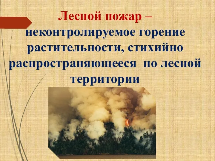 Лесной пожар – неконтролируемое горение растительности, стихийно распространяющееся по лесной территории