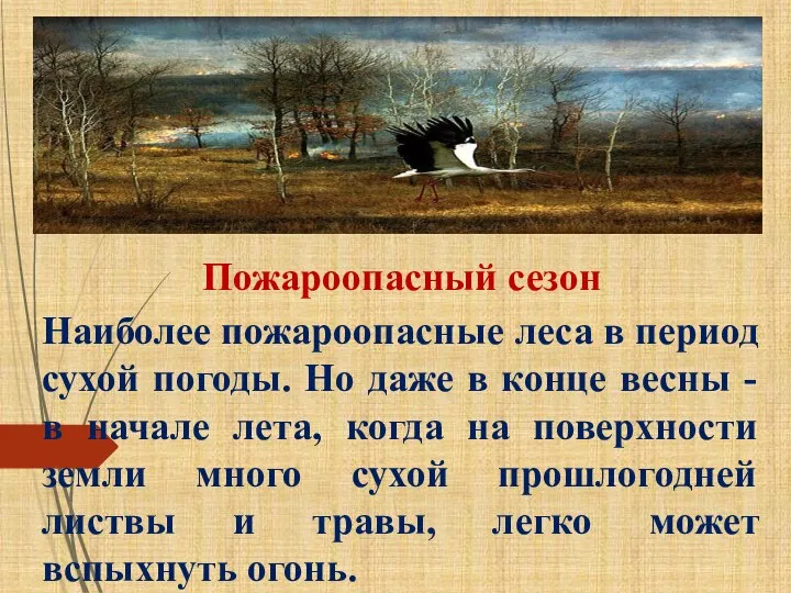 Пожароопасный сезон Наиболее пожароопасные леса в период сухой погоды. Но даже в