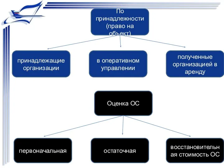 По принадлежности (право на объект) полученные организацией в аренду в оперативном управлении