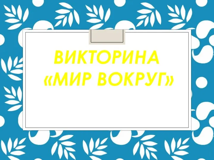 ВИКТОРИНА «МИР ВОКРУГ»