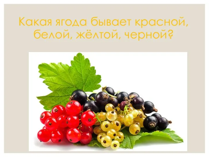 Какая ягода бывает красной, белой, жёлтой, черной?