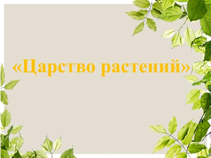 «Царство растений»