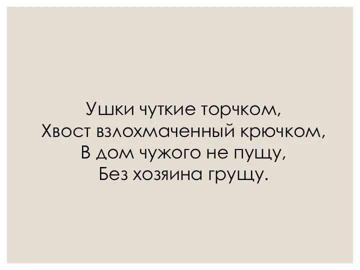 Ушки чуткие торчком, Хвост взлохмаченный крючком, В дом чужого не пущу, Без хозяина грущу.