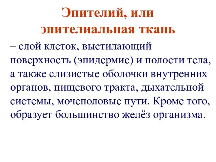 Эпителий, или эпителиальная ткань – слой клеток, выстилающий поверхность (эпидермис) и полости