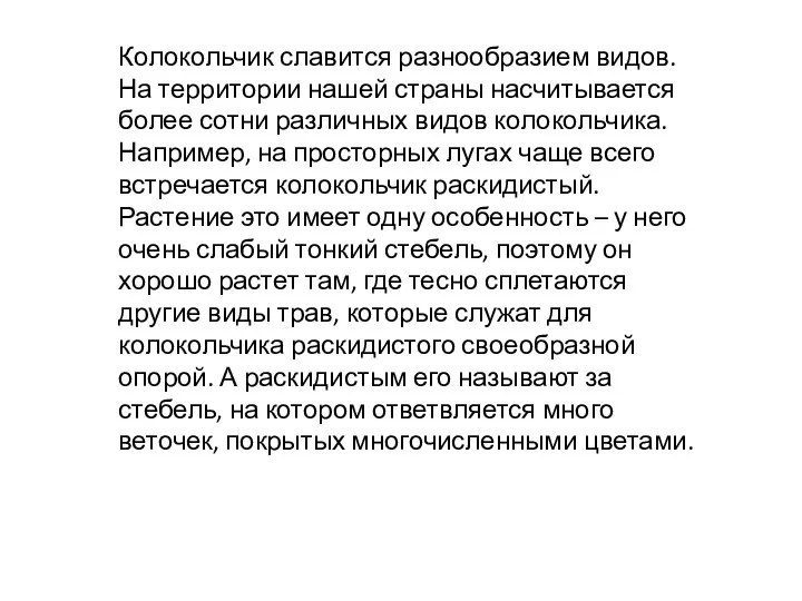 Колокольчик славится разнообразием видов. На территории нашей страны насчитывается более сотни различных