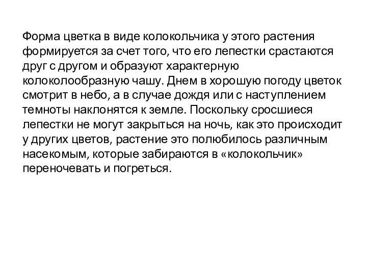 Форма цветка в виде колокольчика у этого растения формируется за счет того,