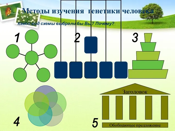 Методы изучения генетики человека Какой вид схемы выбрали бы Вы? Почему? 1 5 4 3 2