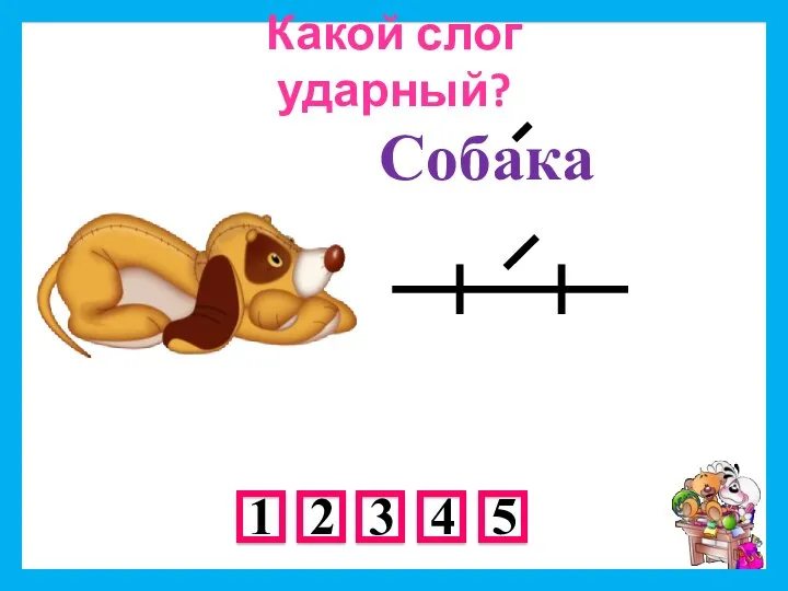 Собака Какой слог ударный?