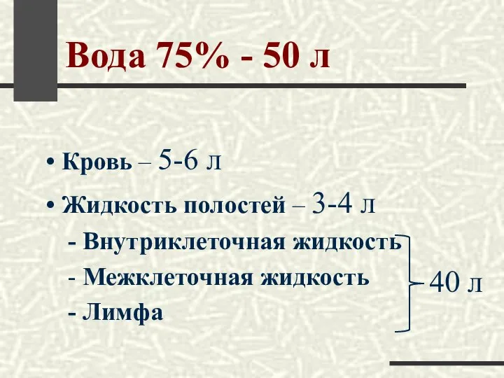 Вода 75% - 50 л Кровь – 5-6 л Жидкость полостей –