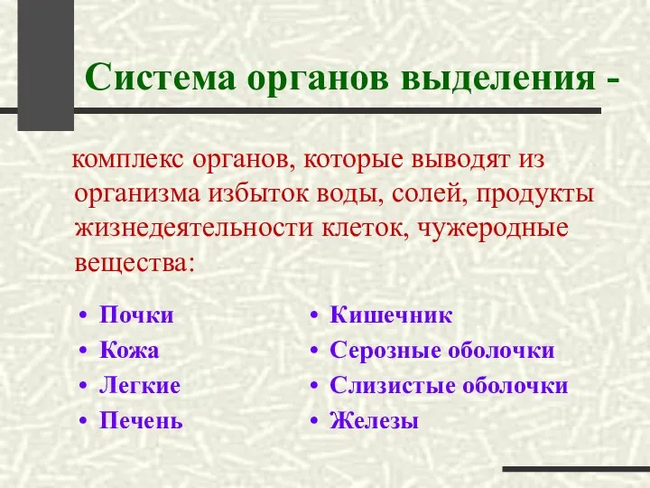 Система органов выделения - комплекс органов, которые выводят из организма избыток воды,