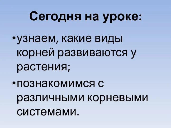 Сегодня на уроке: узнаем, какие виды корней развиваются у растения; познакомимся с различными корневыми системами.