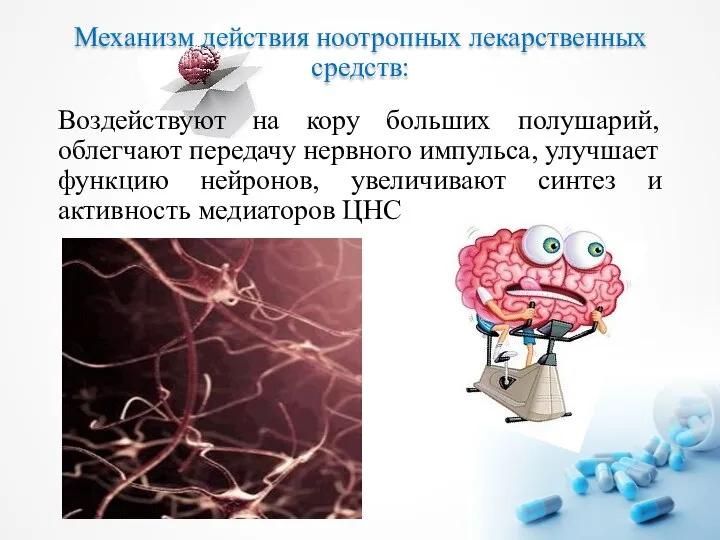 Механизм действия ноотропных лекарственных средств: Воздействуют на кору больших полушарий, облегчают передачу