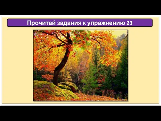 Прочитай задания к упражнению 23