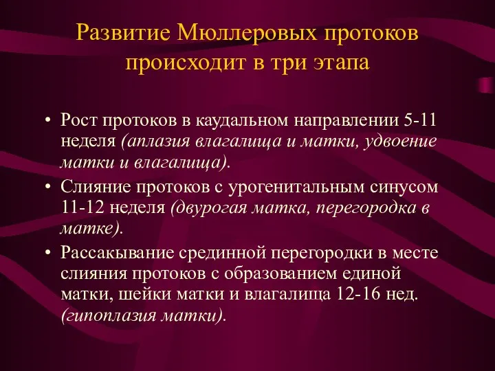 Развитие Мюллеровых протоков происходит в три этапа Рост протоков в каудальном направлении