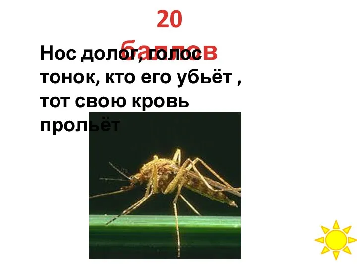 20 баллов Нос долог, голос тонок, кто его убьёт , тот свою кровь прольёт