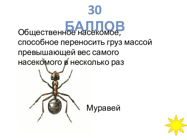 30 БАЛЛОВ Общественное насекомое, способное переносить груз массой превышающей вес самого насекомого в несколько раз